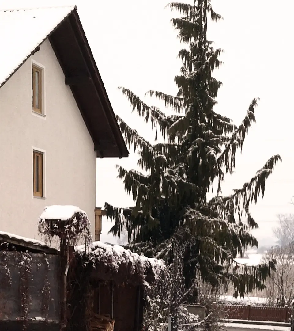 Haus im Landkreis Roth